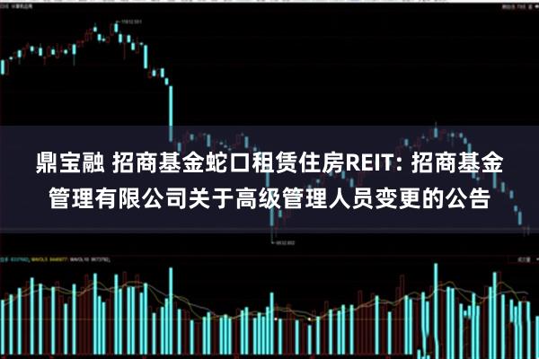 鼎宝融 招商基金蛇口租赁住房REIT: 招商基金管理有限公司关于高级管理人员变更的公告
