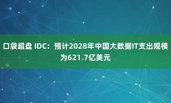 口袋超盘 IDC：预计2028年中国大数据IT支出规模为621.7亿美元