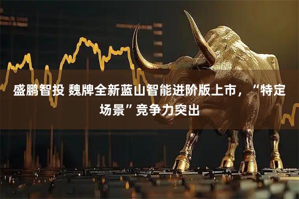 盛鹏智投 魏牌全新蓝山智能进阶版上市,“特定场景”竞争力突出