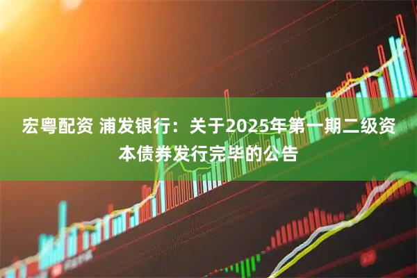 宏粤配资 浦发银行：关于2025年第一期二级资本债券发行完毕的公告